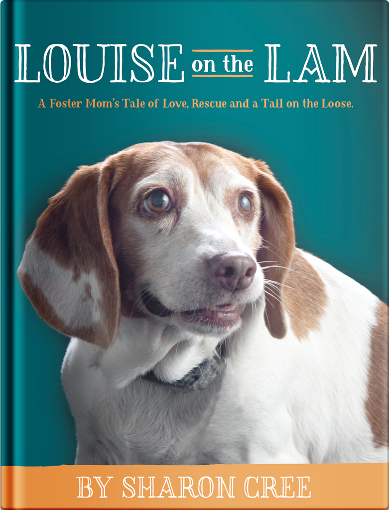 Louise on the Lam