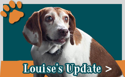 Louise's Update