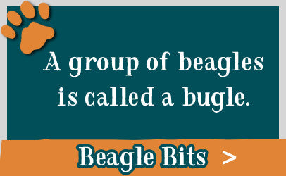 Beagle Bits